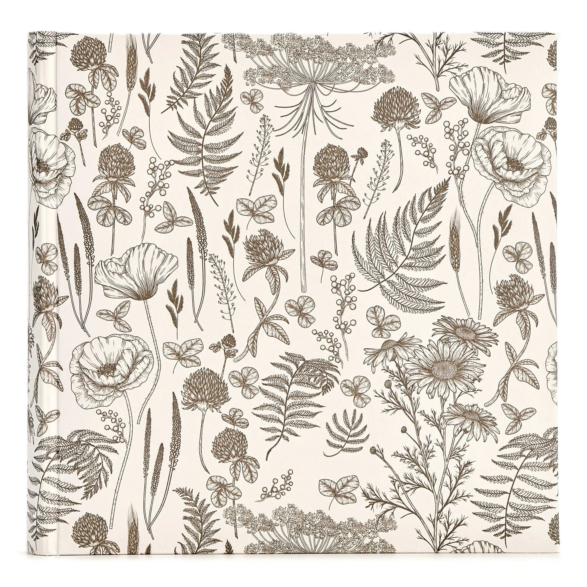 Wildflower Series